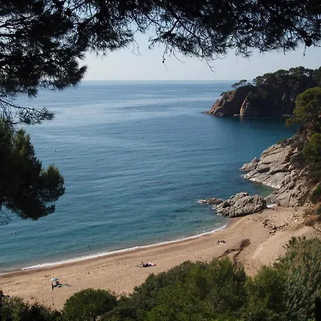 Danlux Remy Сasa de vacaciones Lloret de Mar
